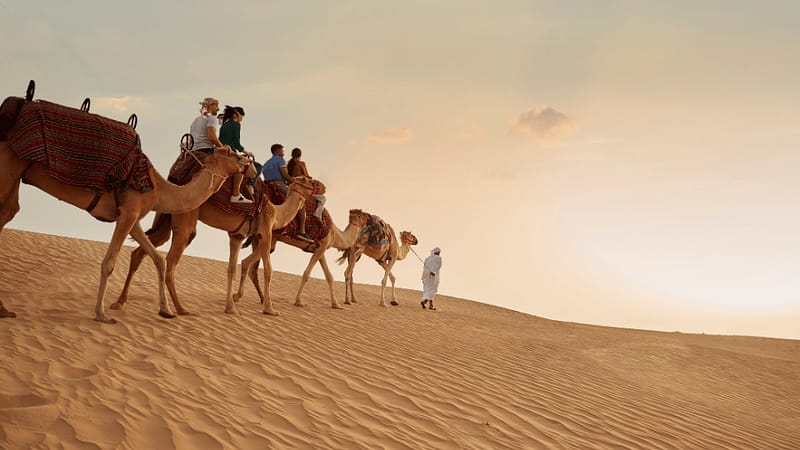 Dubai Sunset Safari Delight with BBQ dinner and camel ride Desert safaris Dubai - Image 2